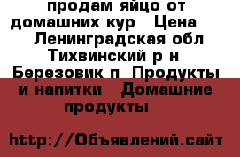 продам яйцо от домашних кур › Цена ­ 80 - Ленинградская обл., Тихвинский р-н, Березовик п. Продукты и напитки » Домашние продукты   